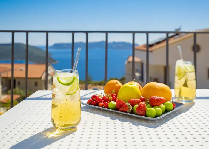 Meri Daire Kaş