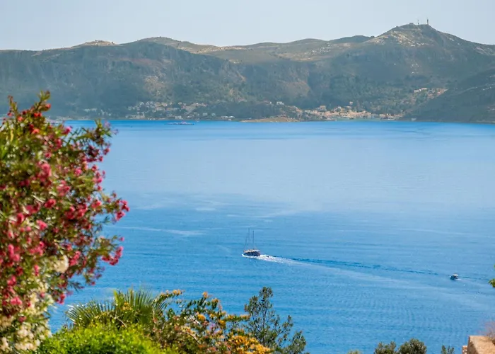 Meri Kaş
